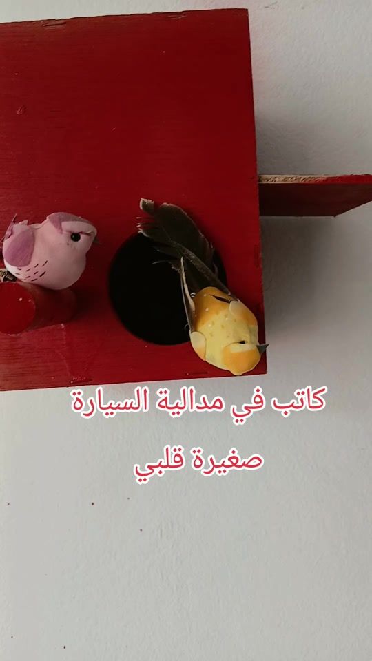 TikTok video thumbnail by .216029
