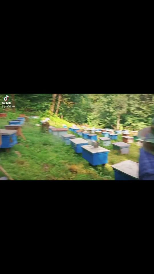 TikTok video thumbnail by refailuser