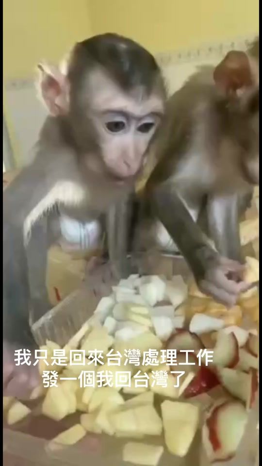 TikTok video thumbnail by ssk_0723