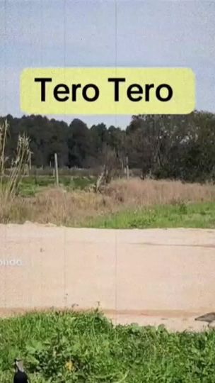 TikTok video thumbnail by theimsnow