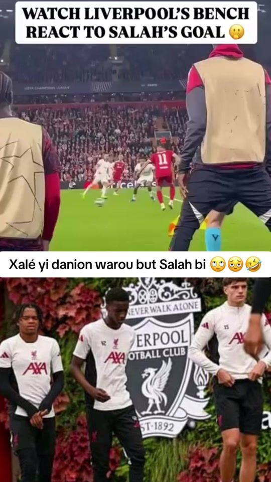 TikTok video thumbnail by loufa_reds1