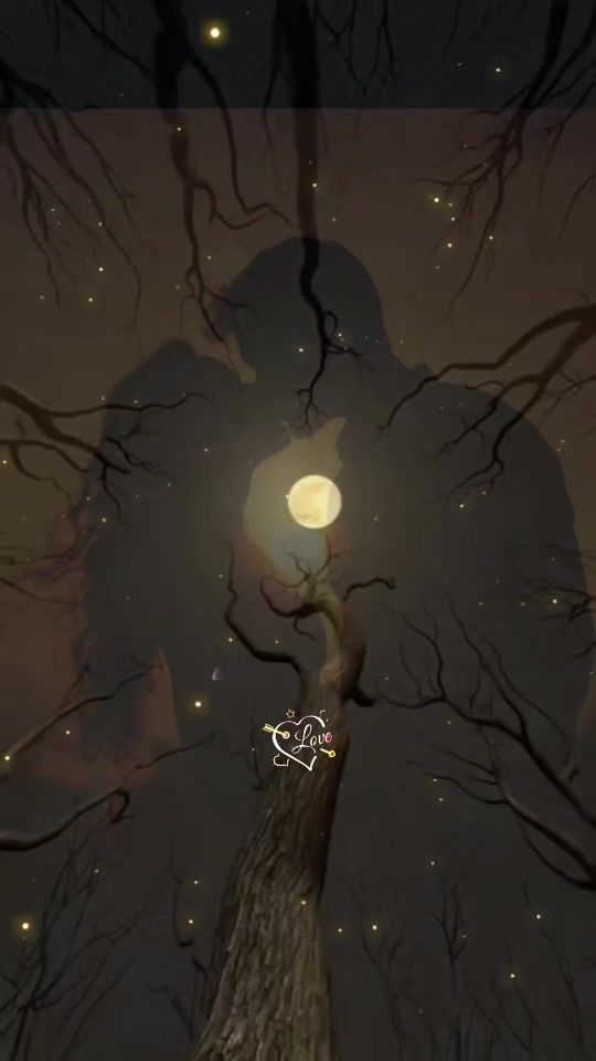 TikTok video thumbnail by roco.gatos.g