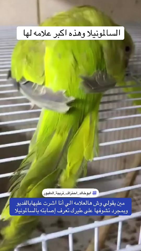 TikTok video thumbnail by abu.khalled