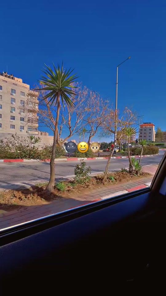 TikTok video thumbnail by khitam.k9