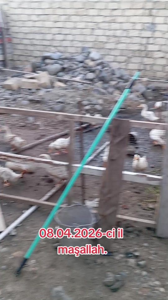 TikTok video thumbnail by servin_1989