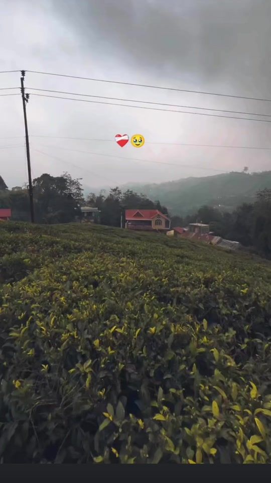 TikTok video thumbnail by shoma_.0