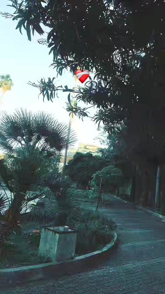 TikTok video thumbnail by jihen_haj