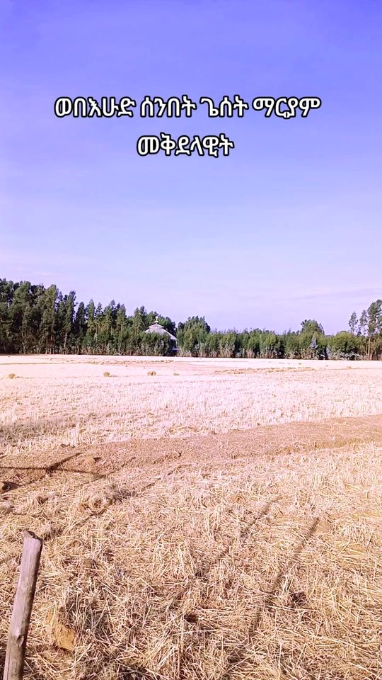 TikTok video thumbnail by wende911