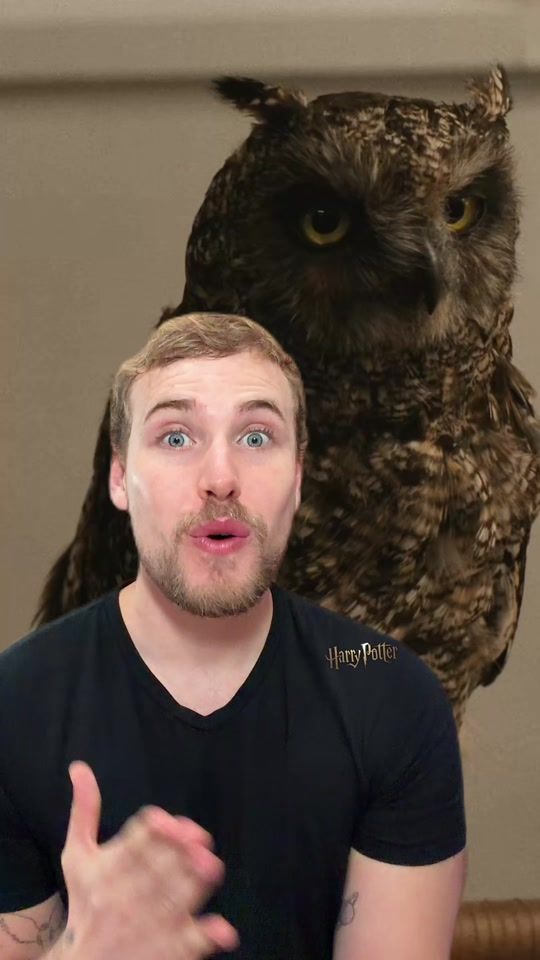 TikTok video thumbnail by igorsaringer