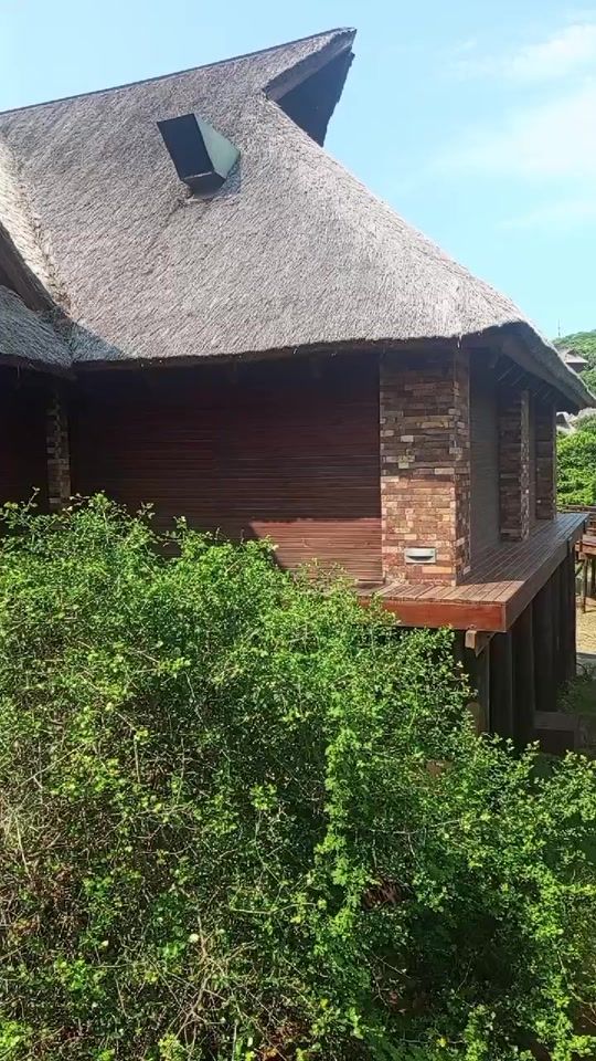 TikTok video thumbnail by tony620265