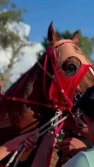 TikTok video thumbnail by turfnortenopy