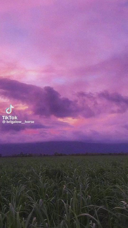 TikTok video thumbnail by k1ty36
