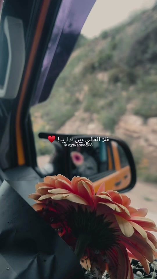 TikTok video thumbnail by aya_iphonography