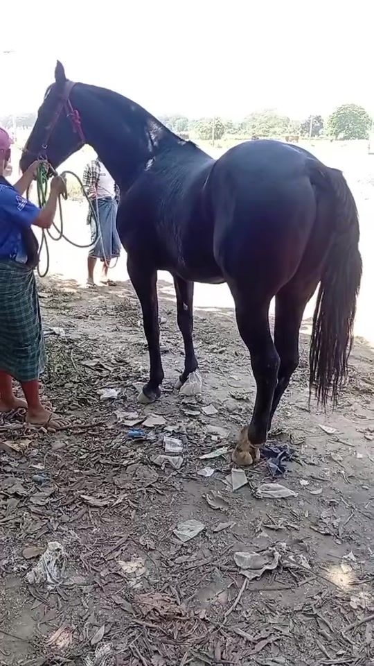 TikTok video thumbnail by shineyarzar70