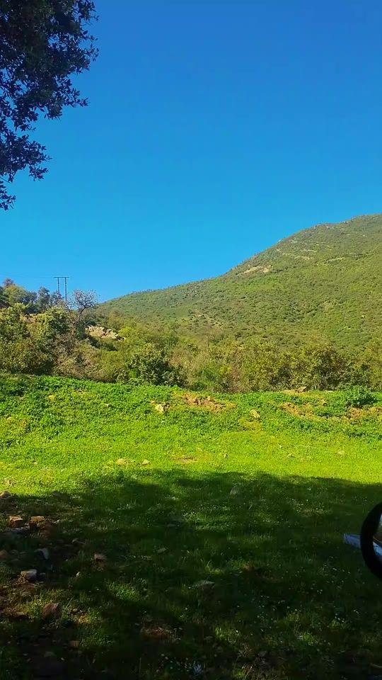 TikTok video thumbnail by motivation_dz_02