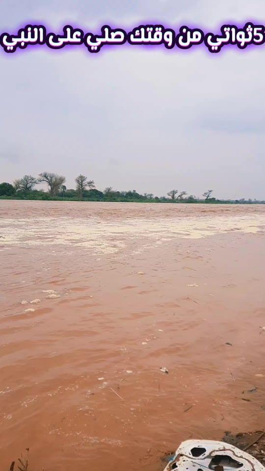 TikTok video thumbnail by wdalgamha