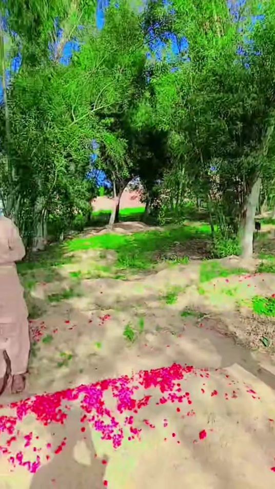 TikTok video thumbnail by i_gujjar_05