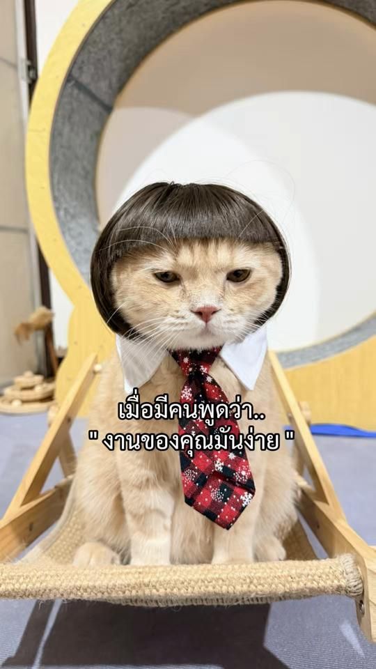 TikTok video thumbnail by afu_taohoo