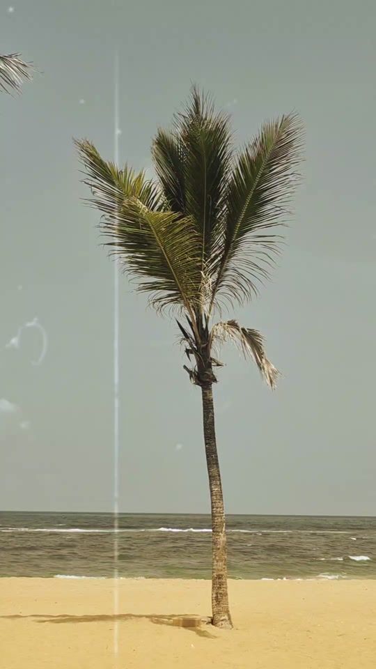 TikTok video thumbnail by gihan_nethma