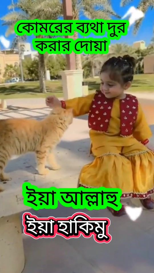 TikTok video thumbnail by taslimaakter030p