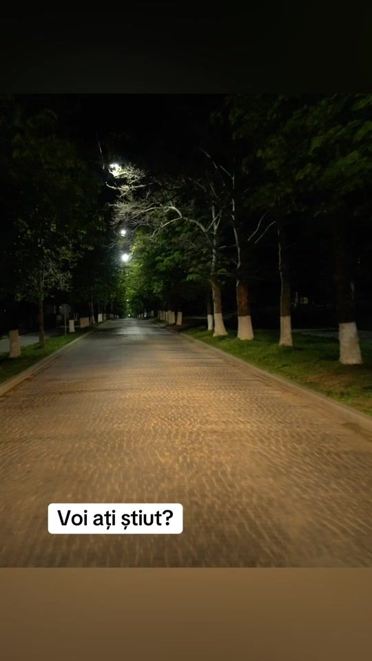 TikTok video thumbnail by gikutransport