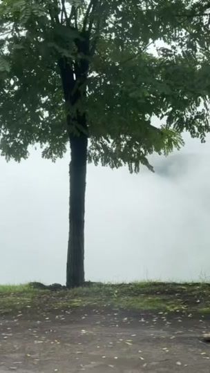 TikTok video thumbnail by royal_42