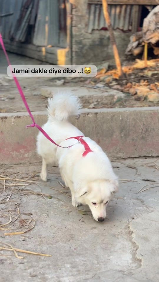 TikTok video thumbnail by darkforhad38