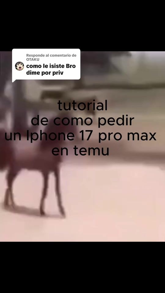 TikTok video thumbnail by brunot17_