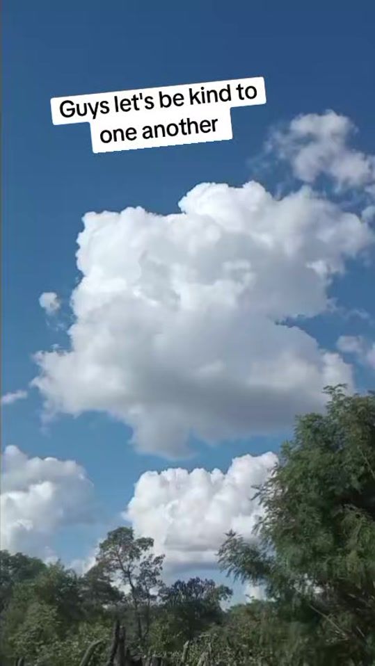 TikTok video thumbnail by future_screen_wirtz