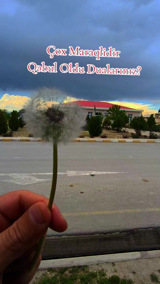 TikTok video thumbnail by xtq_xususi_teyinatli