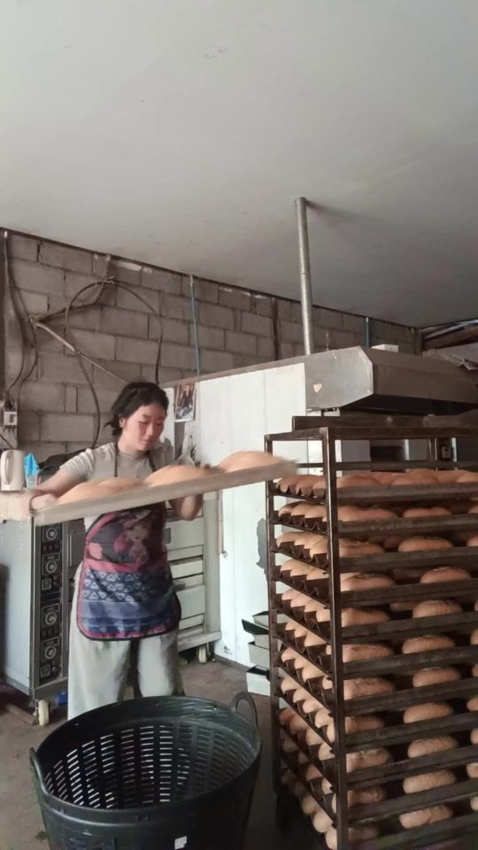 TikTok video thumbnail by seekwm61