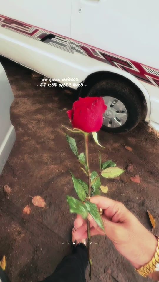 TikTok video thumbnail by kavee_neth