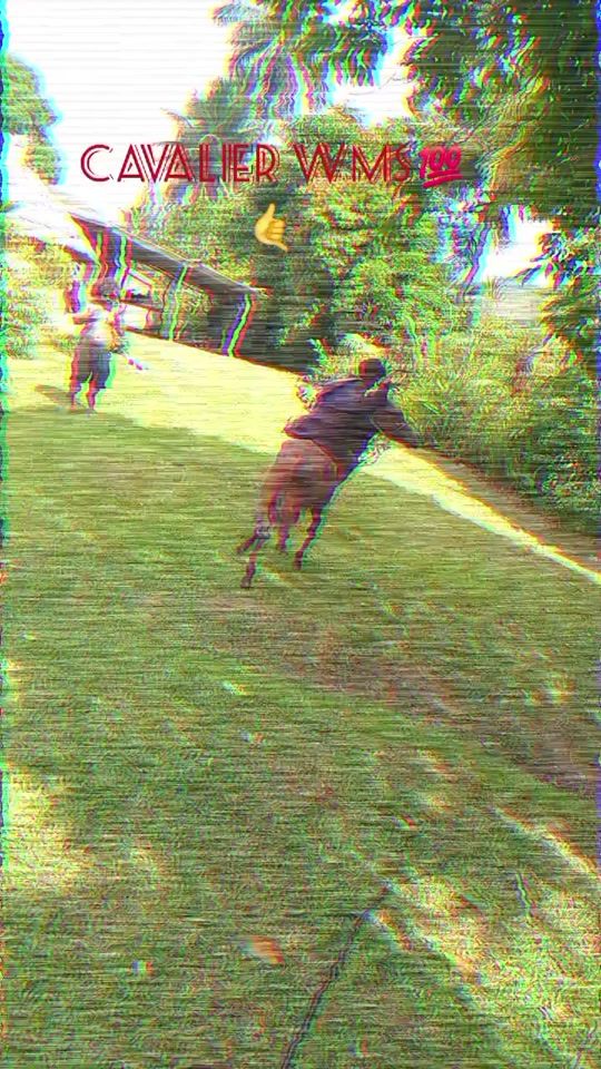 TikTok video thumbnail by userknky45