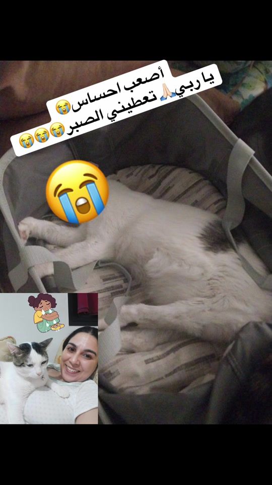 TikTok video thumbnail by mimihd2023