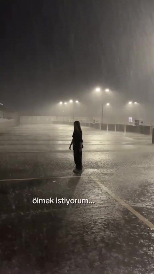 TikTok video thumbnail by roseew333