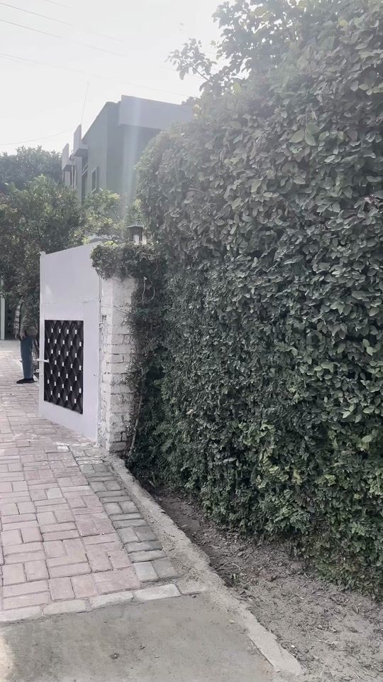 TikTok video thumbnail by nrizvi_9