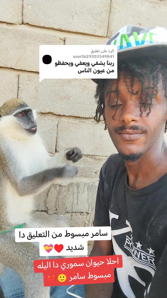 TikTok video thumbnail by user3811911327153