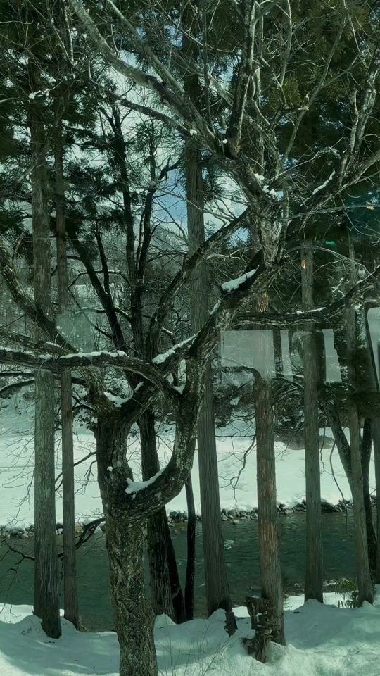 TikTok video thumbnail by water.kuse
