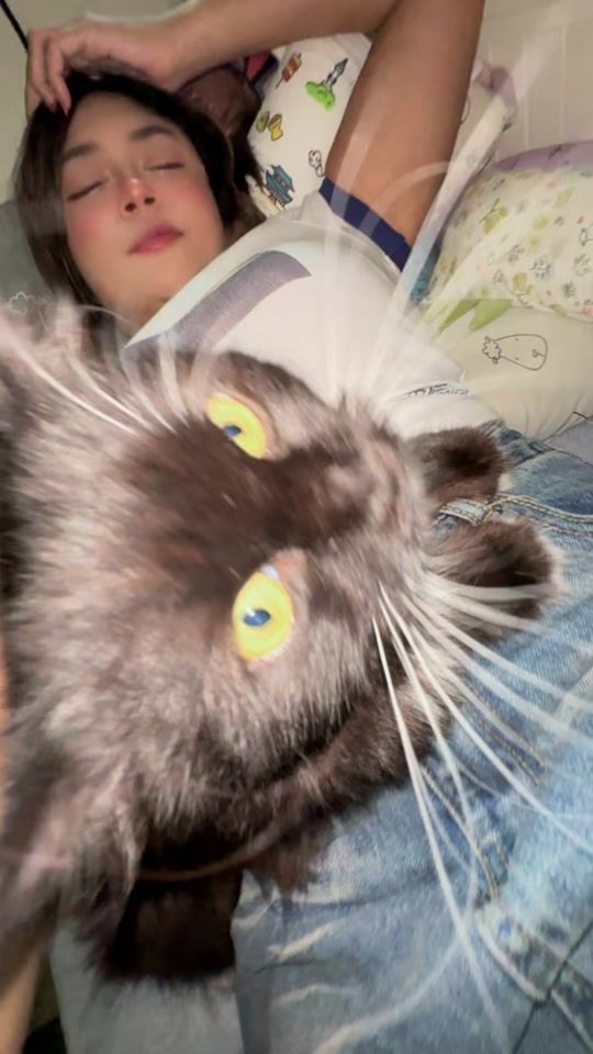 TikTok video thumbnail by nisakidcat