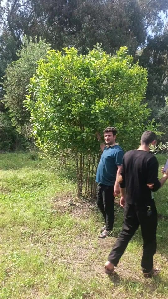 TikTok video thumbnail by 9.ir9