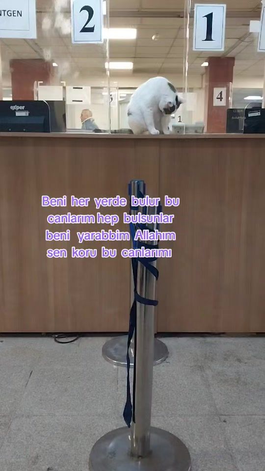 TikTok video thumbnail by naime.sultan2