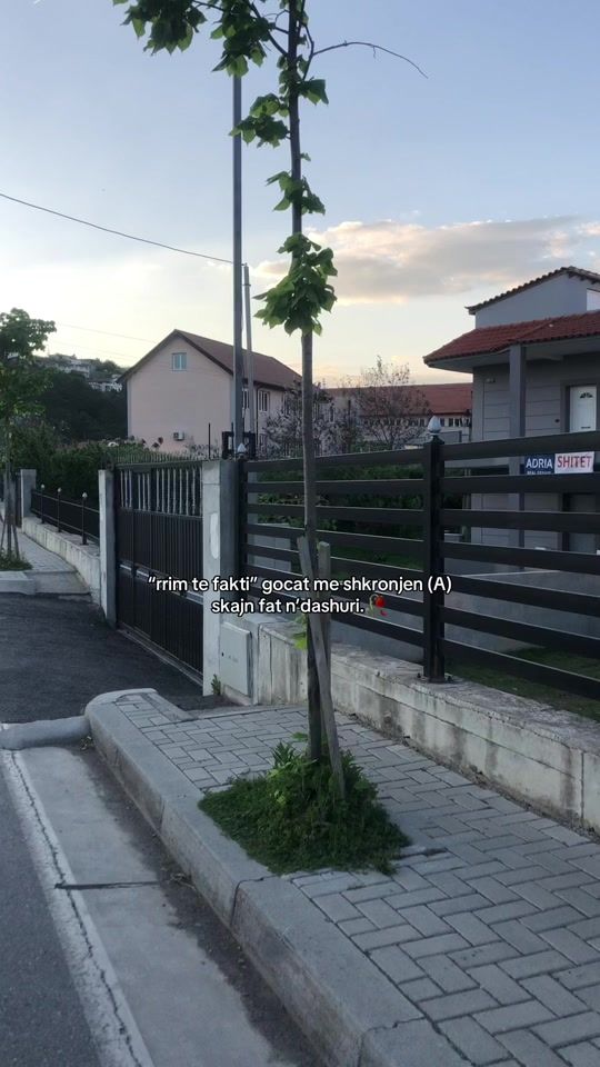 TikTok video thumbnail by alev_l7