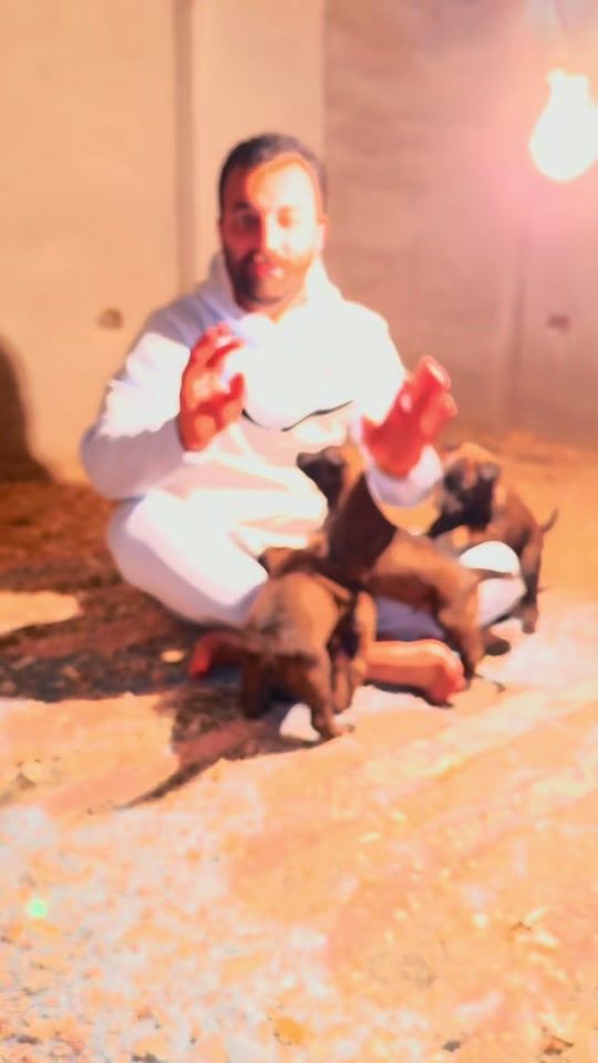TikTok video thumbnail by hesham.asalyaa