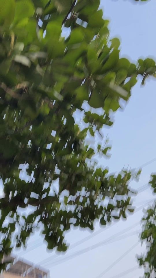 TikTok video thumbnail by eaint.pyae.mon