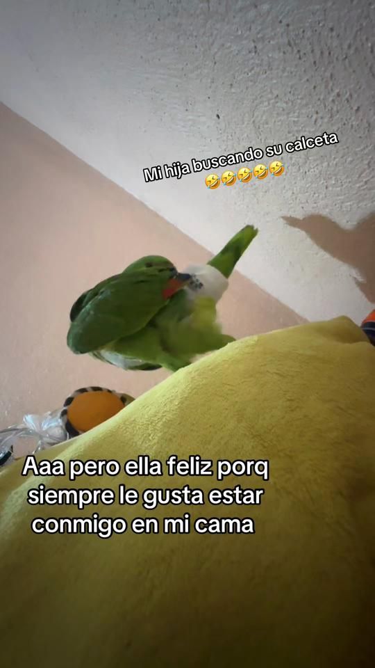 TikTok video thumbnail by mary37.19