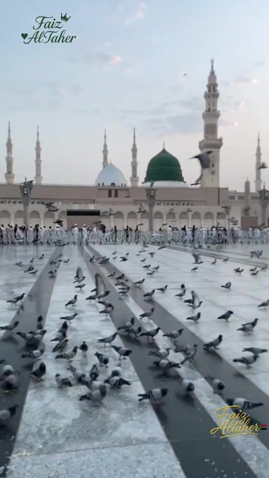 TikTok video thumbnail by faiz.altaher.abdulkarim