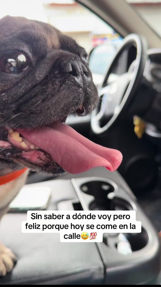 TikTok video thumbnail by raimarrin