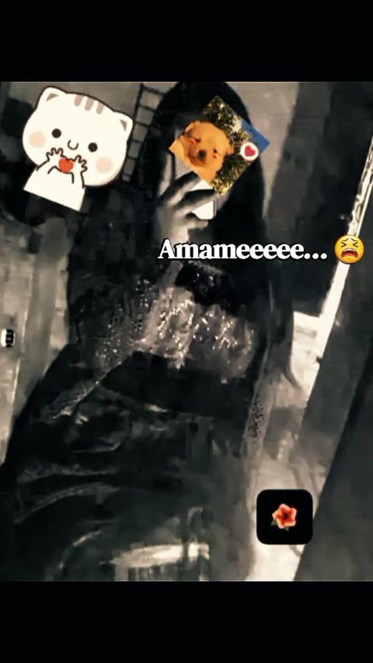 TikTok video thumbnail by mauraester2