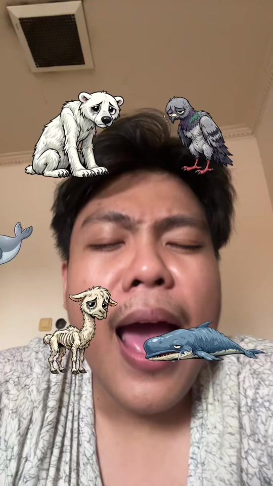 TikTok video thumbnail by hadytrishadi