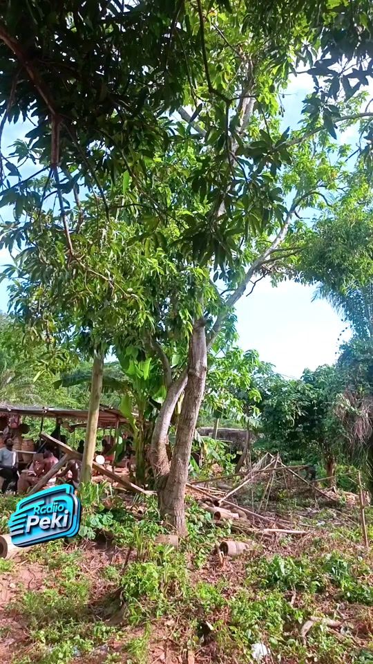TikTok video thumbnail by radio.peki